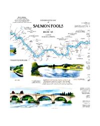 River Tay Salmon Pools map