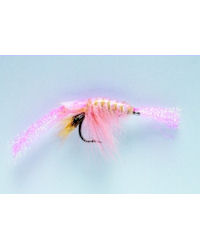 Flashback Shrimp Pink - Size 6