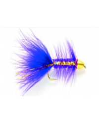 Golden Bullet Purple - Size 4