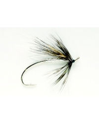 Special Grizzly Spider - Size 4