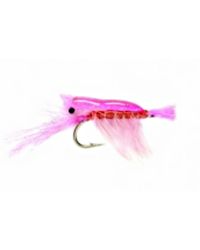 Ultra Shrimp Pink - Size 2