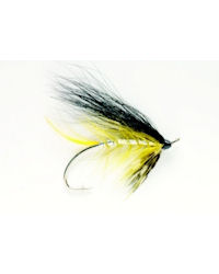 Yellow Torrish - Size 4